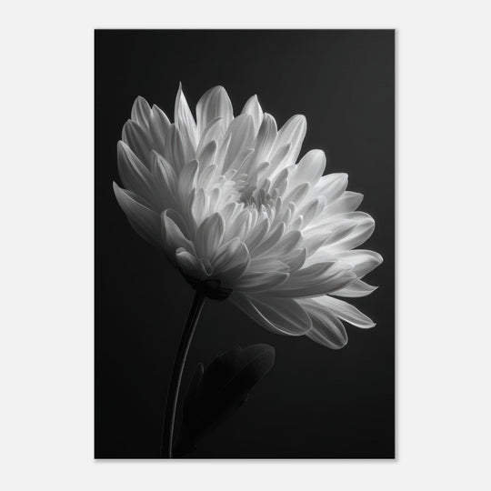 4b4a17f9-33b2-4e81-8f5a-a37d10fbc9bf