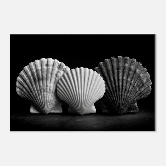 4ba3855f-b4ca-4528-85b4-f3787e64ad9c