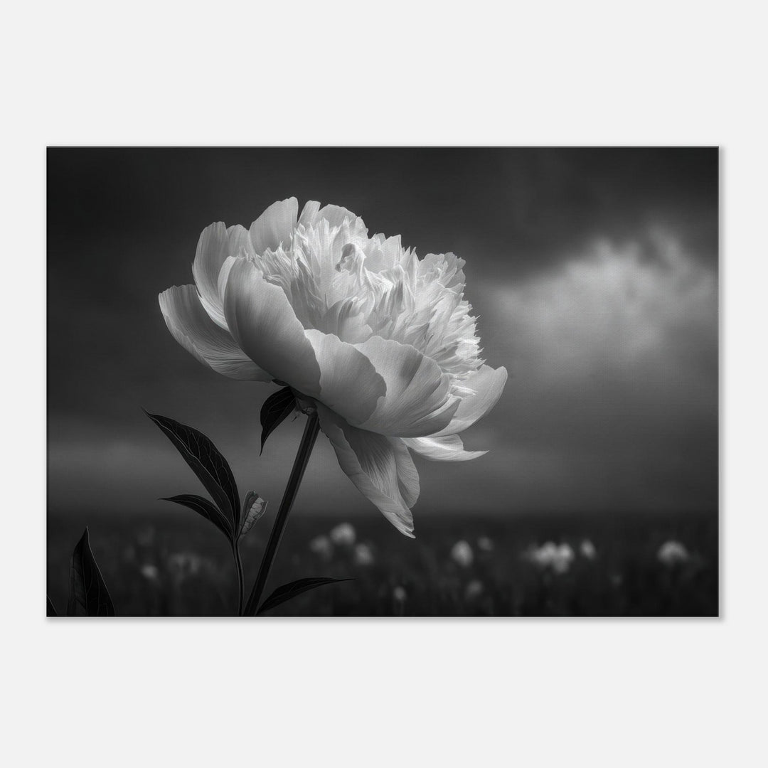 4bcbd3c6-215c-4105-a21b-21df1f8c2eda