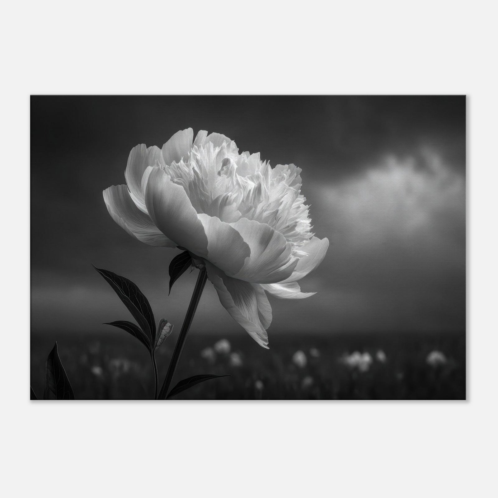 4bcbd3c6-215c-4105-a21b-21df1f8c2eda