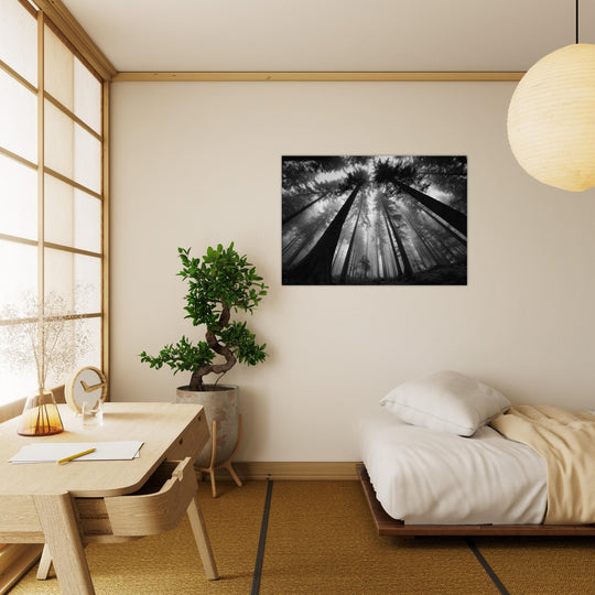 4c3985b6-8e20-4bb0-9c23-38e8d9c478d0