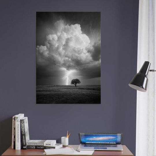 4c6fab01-cfd5-460c-bac9-ea9e6c8066db