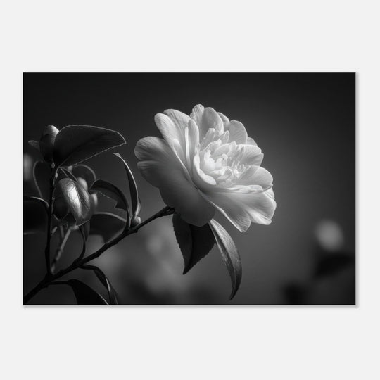 4ca8ba8c-2817-455c-83d6-3adc942b3d64