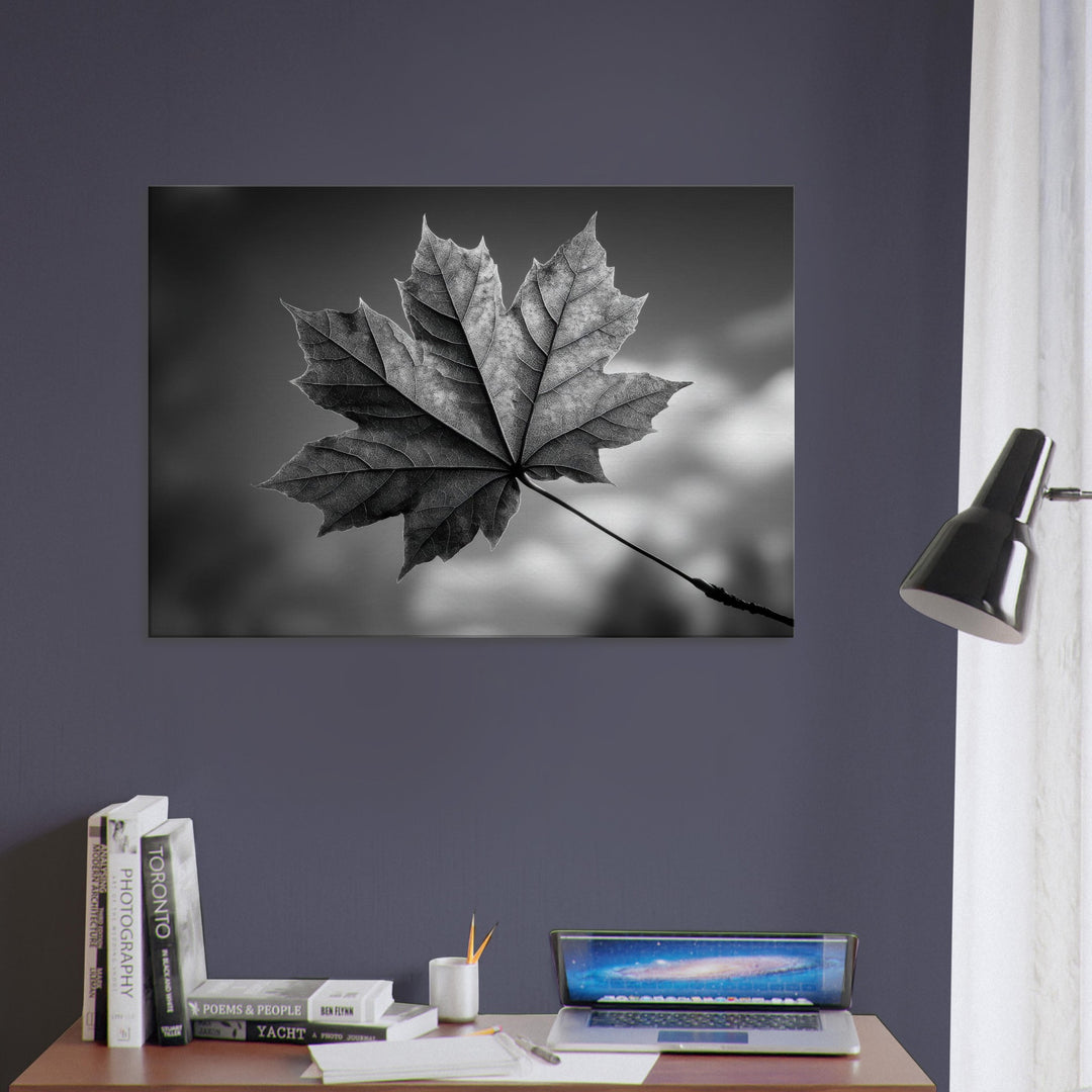 4e285863-f7fe-420c-88ee-8e95969f0000