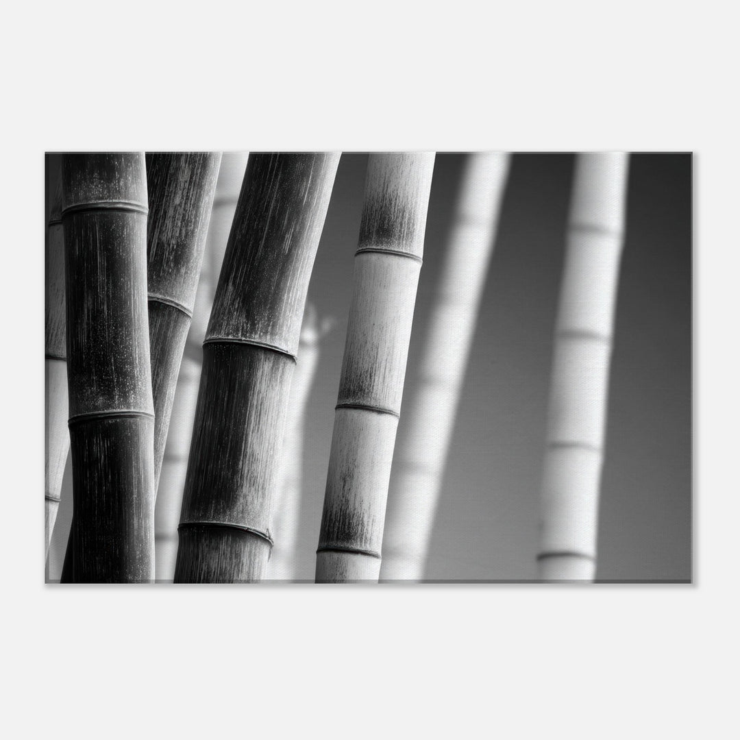 4e7aff8d-2e74-4a3c-881a-02911d0c3bc1