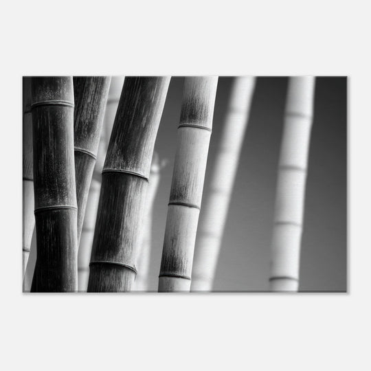 4e7aff8d-2e74-4a3c-881a-02911d0c3bc1