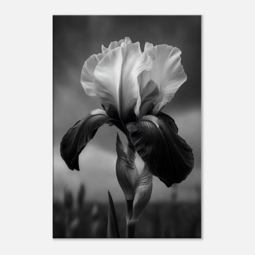 4ef6c776-4d43-4ef7-9cd9-19a2d0aa1cd5