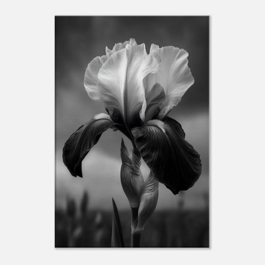 4ef6c776-4d43-4ef7-9cd9-19a2d0aa1cd5