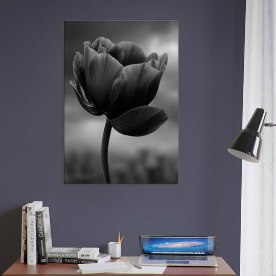 50f6f6d5-2fb8-42b6-a888-fcd9de46bbd2