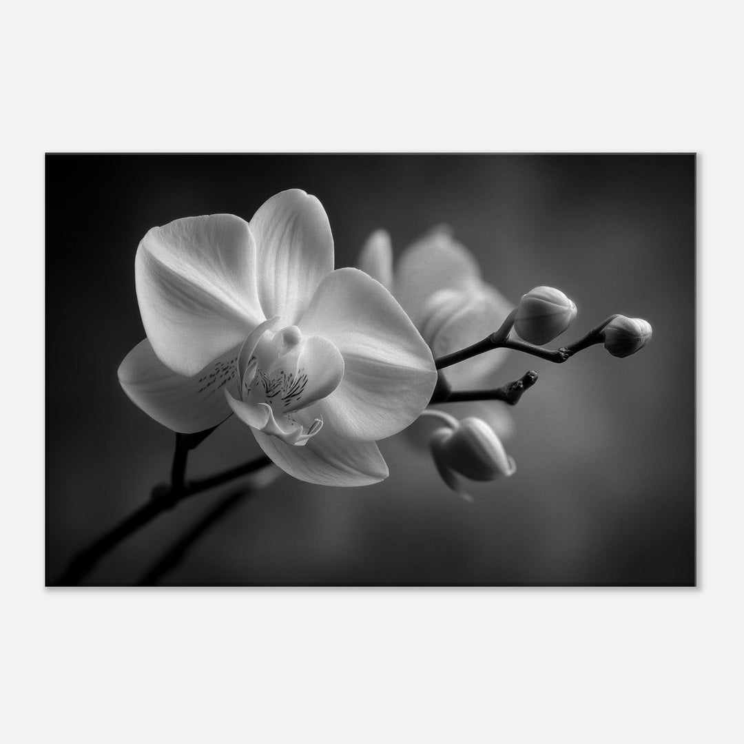 51131b5e-00be-4c32-a3d4-e732f414f00a