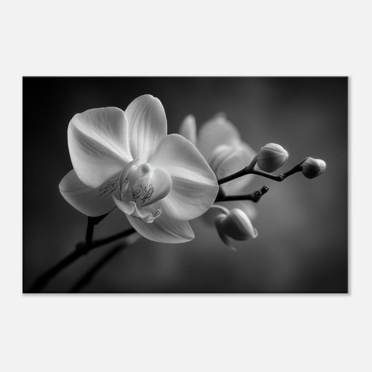 51131b5e-00be-4c32-a3d4-e732f414f00a