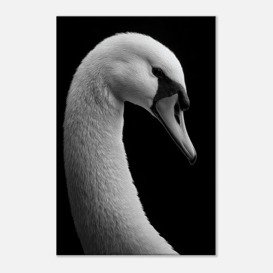 51173c07-37d7-4d33-b100-c760321204e1