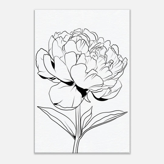 52732c07-586e-444b-94d4-b6e25663d7e2