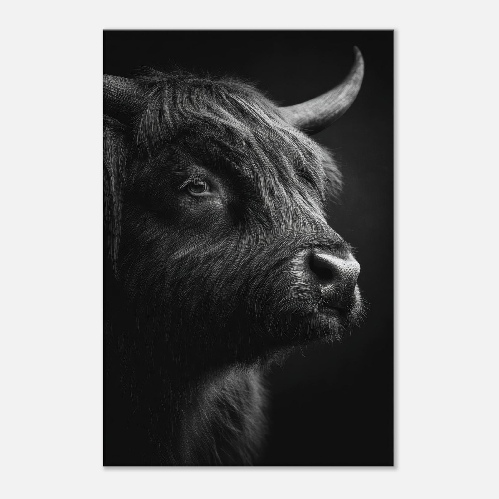 52917c33-393a-42a5-8003-5e9c8e8e0084