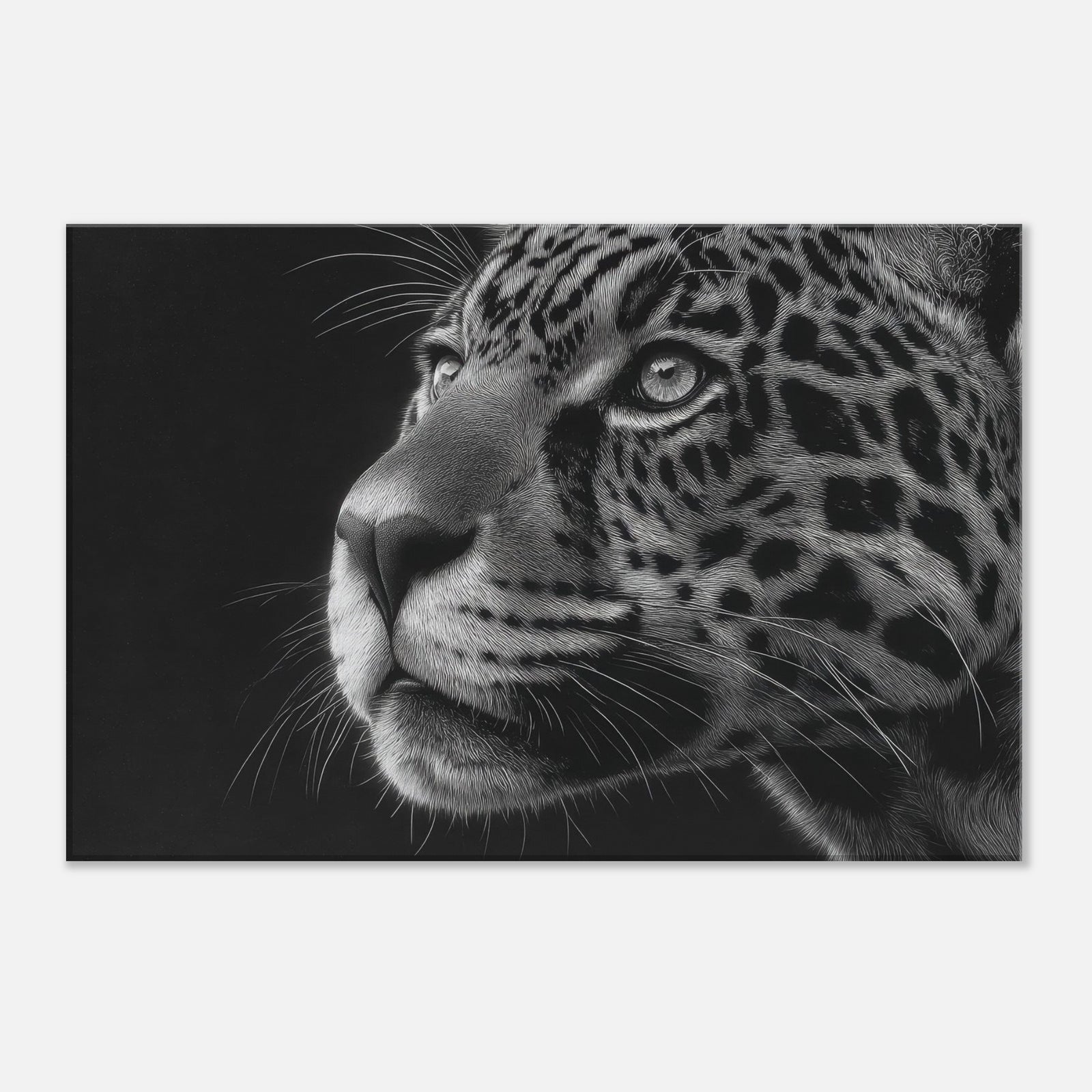 52b4d80f-10ef-4efd-8b02-da54ea48c6b0