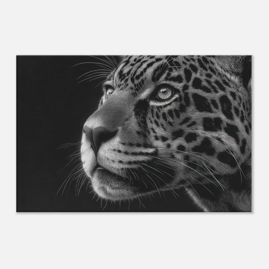 52b4d80f-10ef-4efd-8b02-da54ea48c6b0