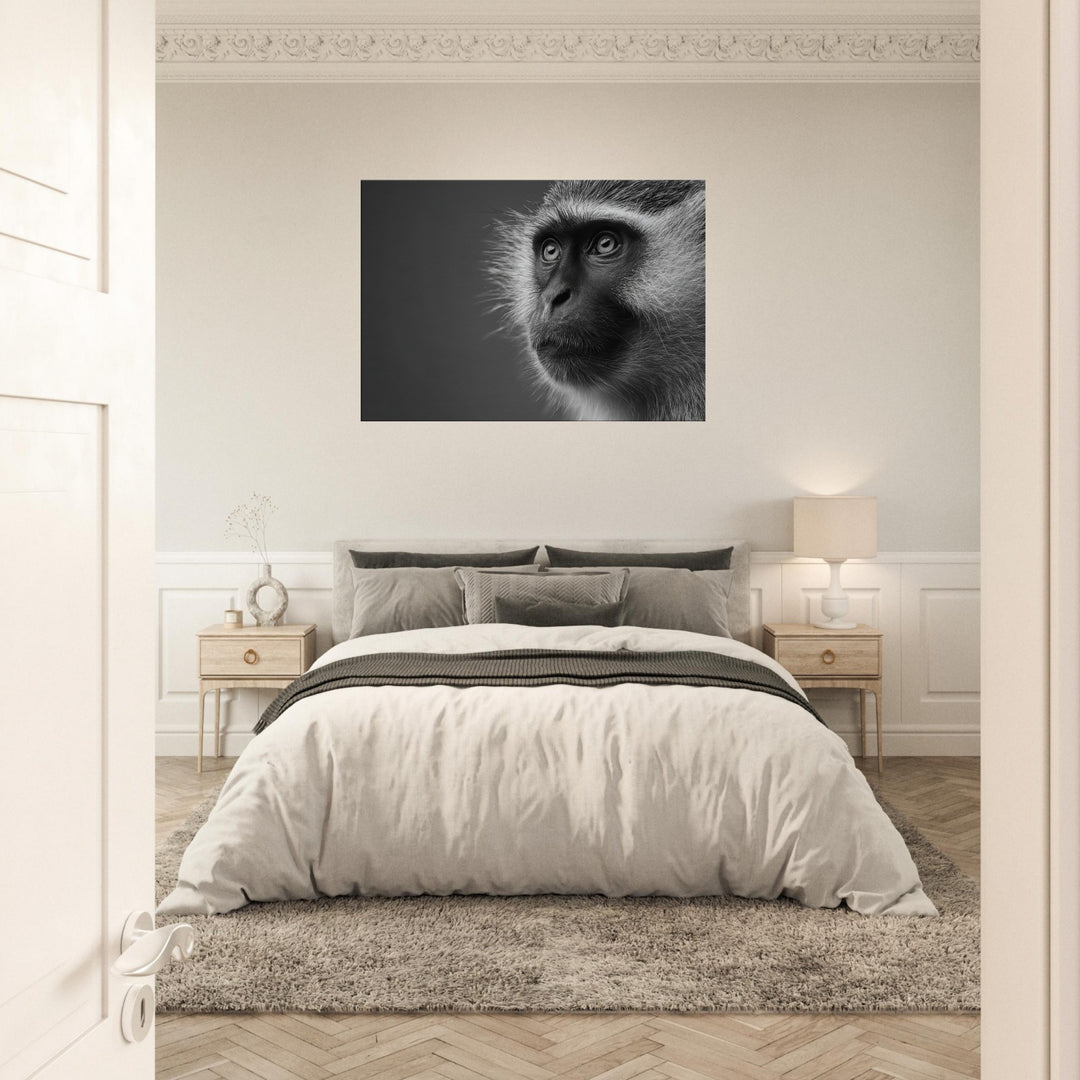 52c21645-c7ec-409d-b8da-5094ae774585