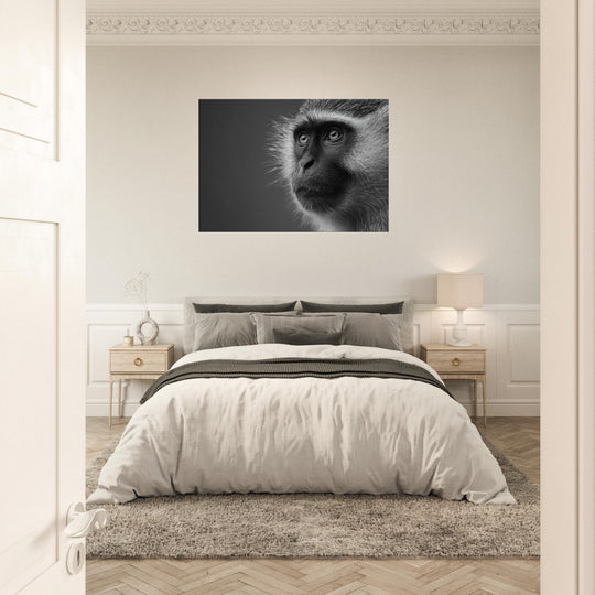 52c21645-c7ec-409d-b8da-5094ae774585