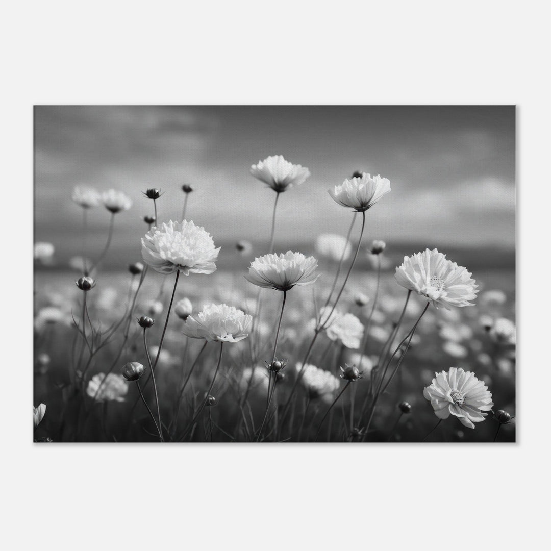 52c97a79-5723-4e92-a65f-537ad048a302