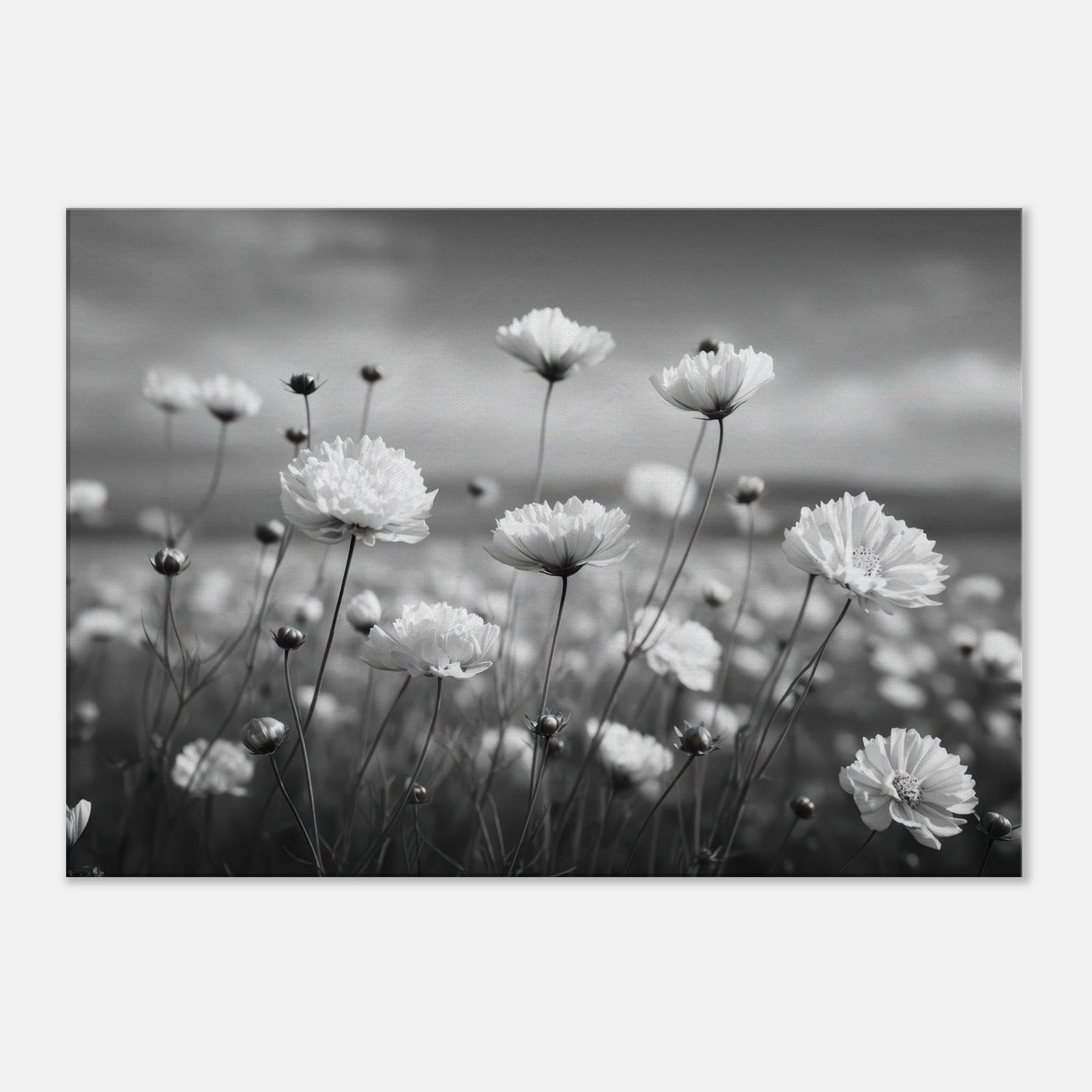 52c97a79-5723-4e92-a65f-537ad048a302