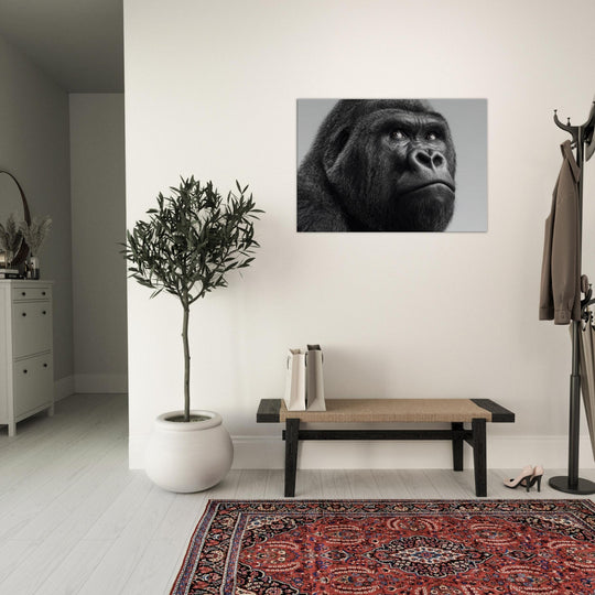 5319a177-74d4-4ab3-a6fa-de1f80ca6033