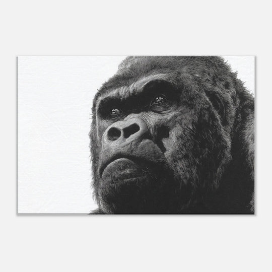 536e181c-f13d-47d4-ab30-554de00b5c7c