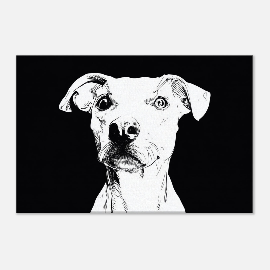 5387849c-f724-4abf-8555-adab03293dcb