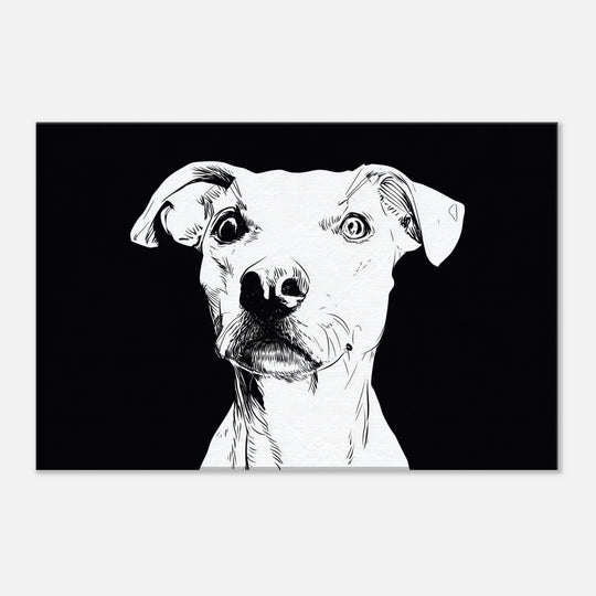 5387849c-f724-4abf-8555-adab03293dcb