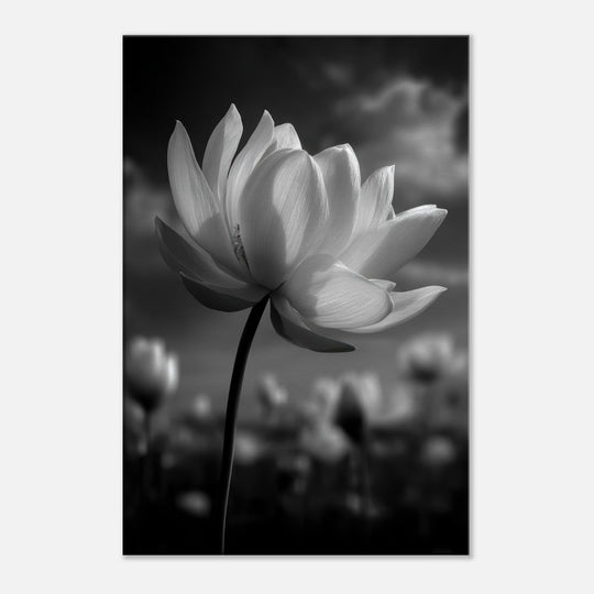 53b42e96-402f-413d-83da-fd055a34b77b