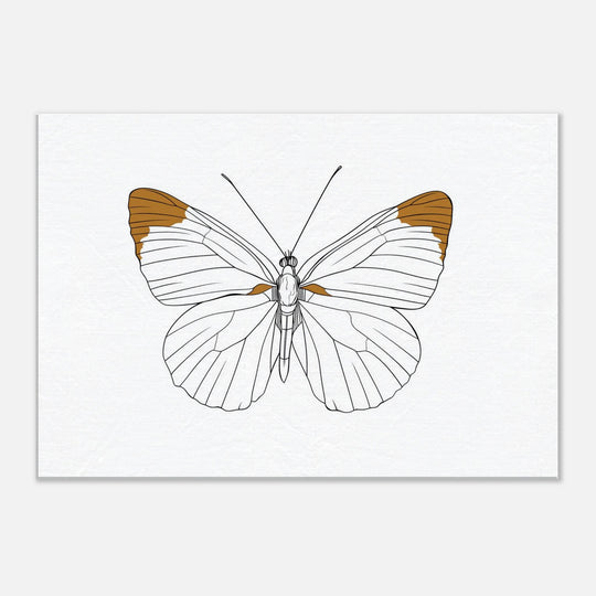 545fd650-8b0f-41ba-ad7a-99757d70cf88