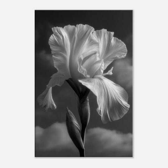 546edad3-eda4-4db5-8b4a-957840f04626