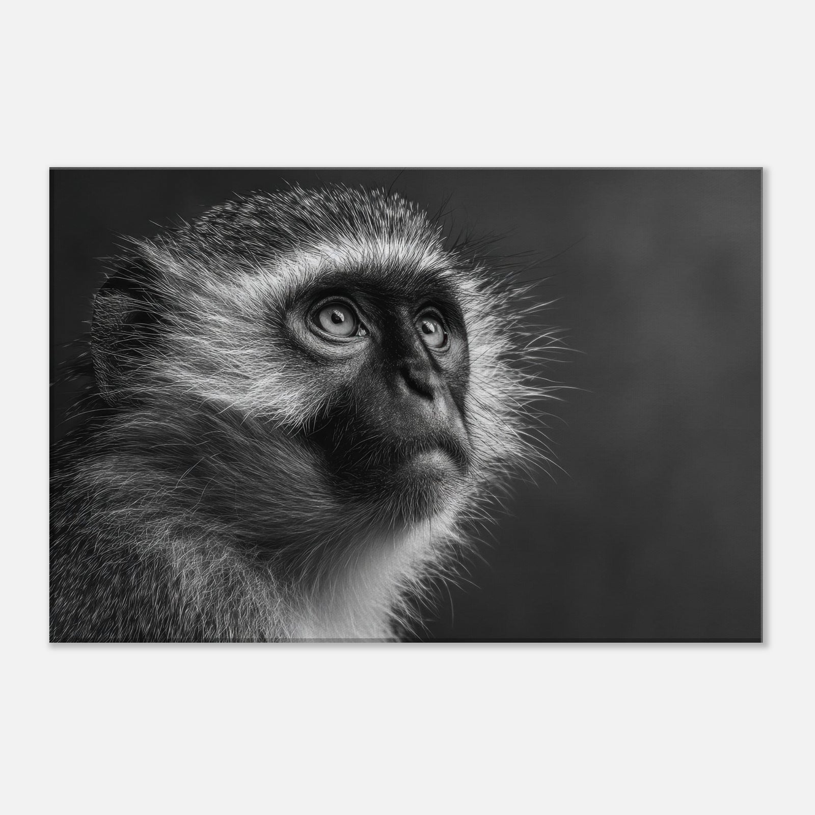 54a0c468-a046-44a9-9315-cb9478097e6a