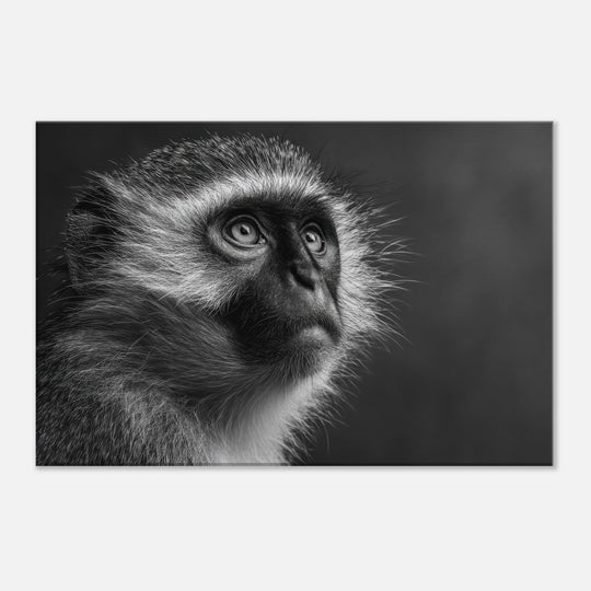 54a0c468-a046-44a9-9315-cb9478097e6a