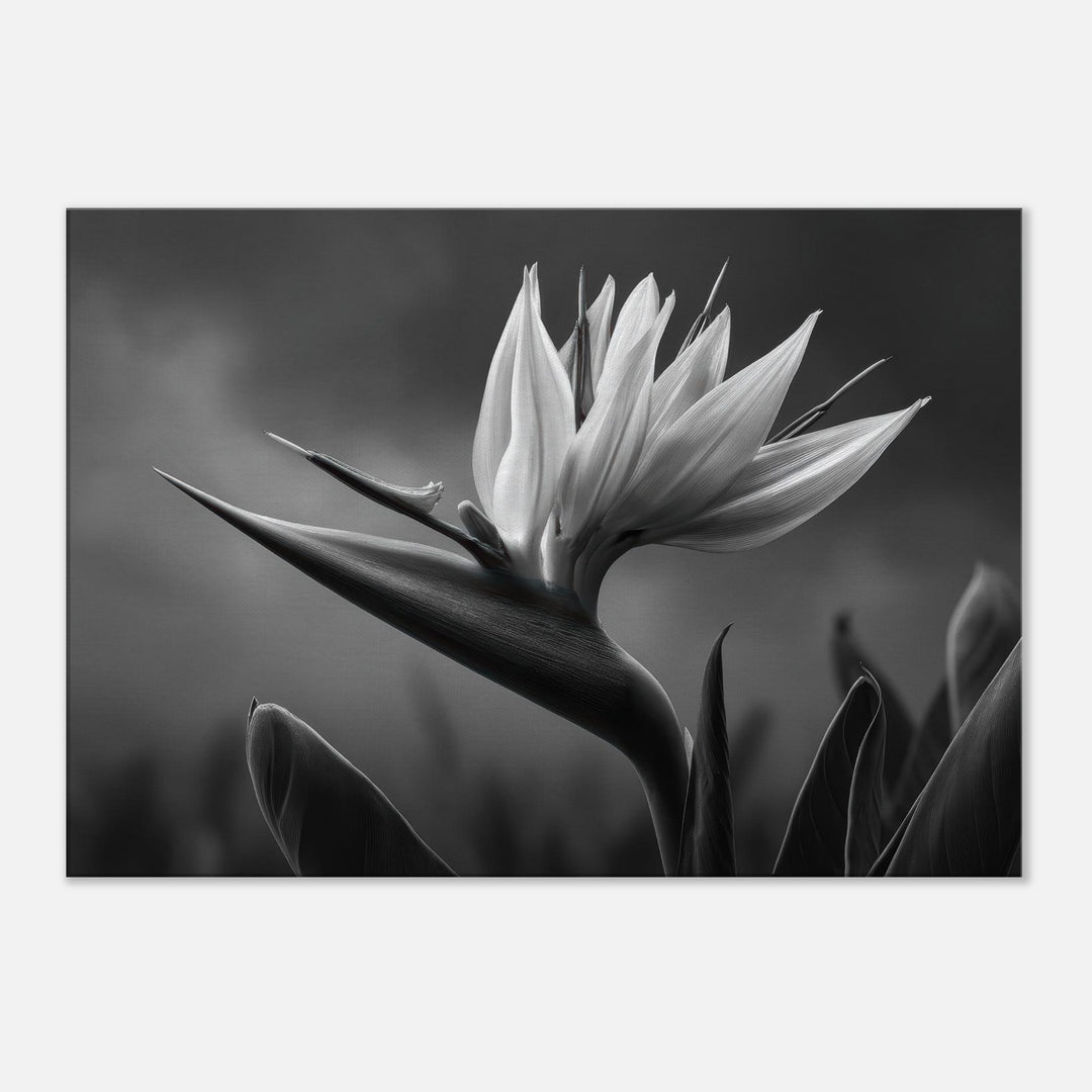 551ced7c-310b-4f49-8443-4288c8d2762f