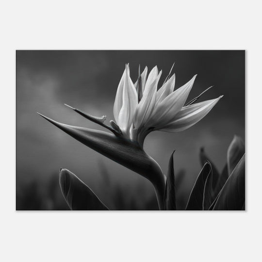 551ced7c-310b-4f49-8443-4288c8d2762f