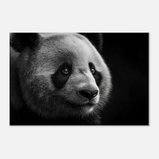 552bd974-7357-4dd6-a089-a6d358aabc38