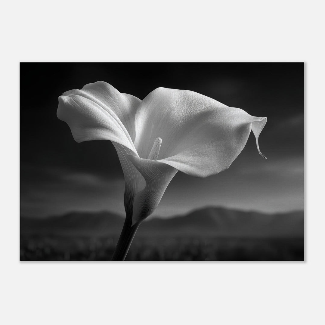 55aca142-944a-4e62-9208-891a87444f29