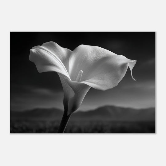 55aca142-944a-4e62-9208-891a87444f29