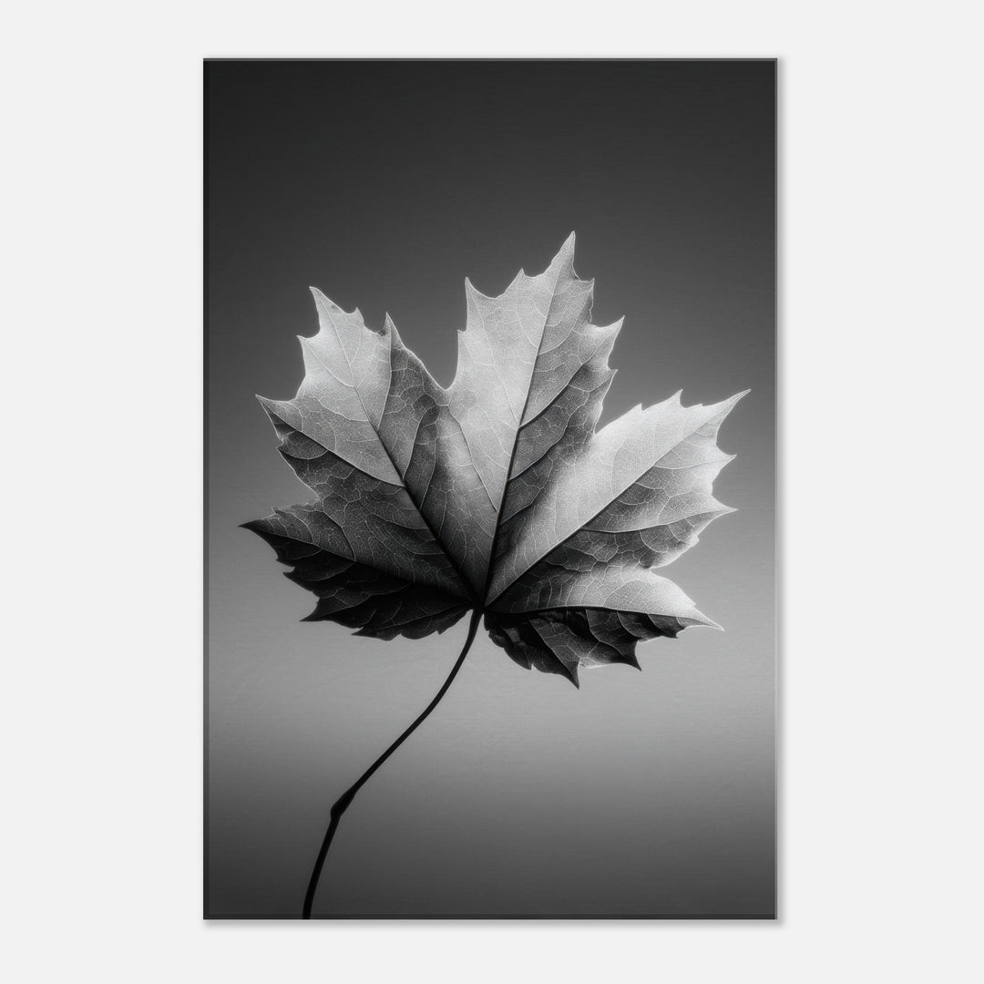 560c7843-2b30-47e5-9df1-1fb4ffb95303