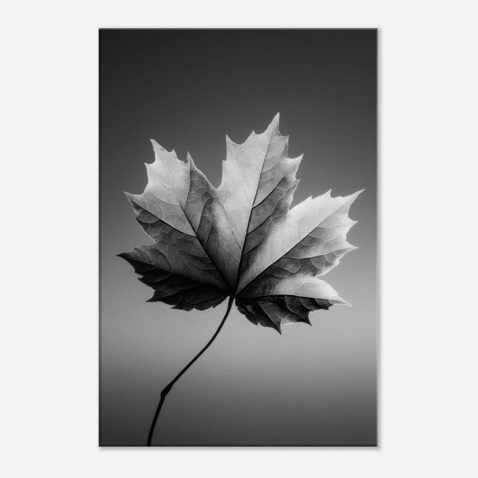 560c7843-2b30-47e5-9df1-1fb4ffb95303