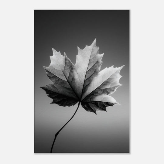 560c7843-2b30-47e5-9df1-1fb4ffb95303