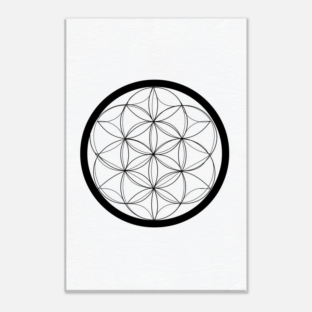 565016d3-d695-4679-89dd-9a638c78183e