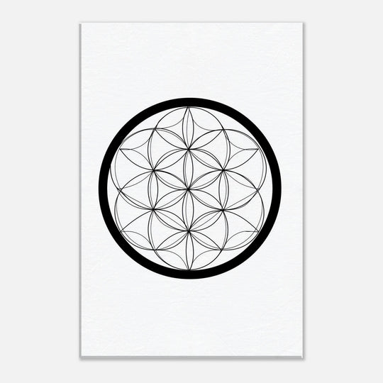 565016d3-d695-4679-89dd-9a638c78183e