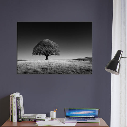 56767798-32a5-4456-b95c-41676126c927