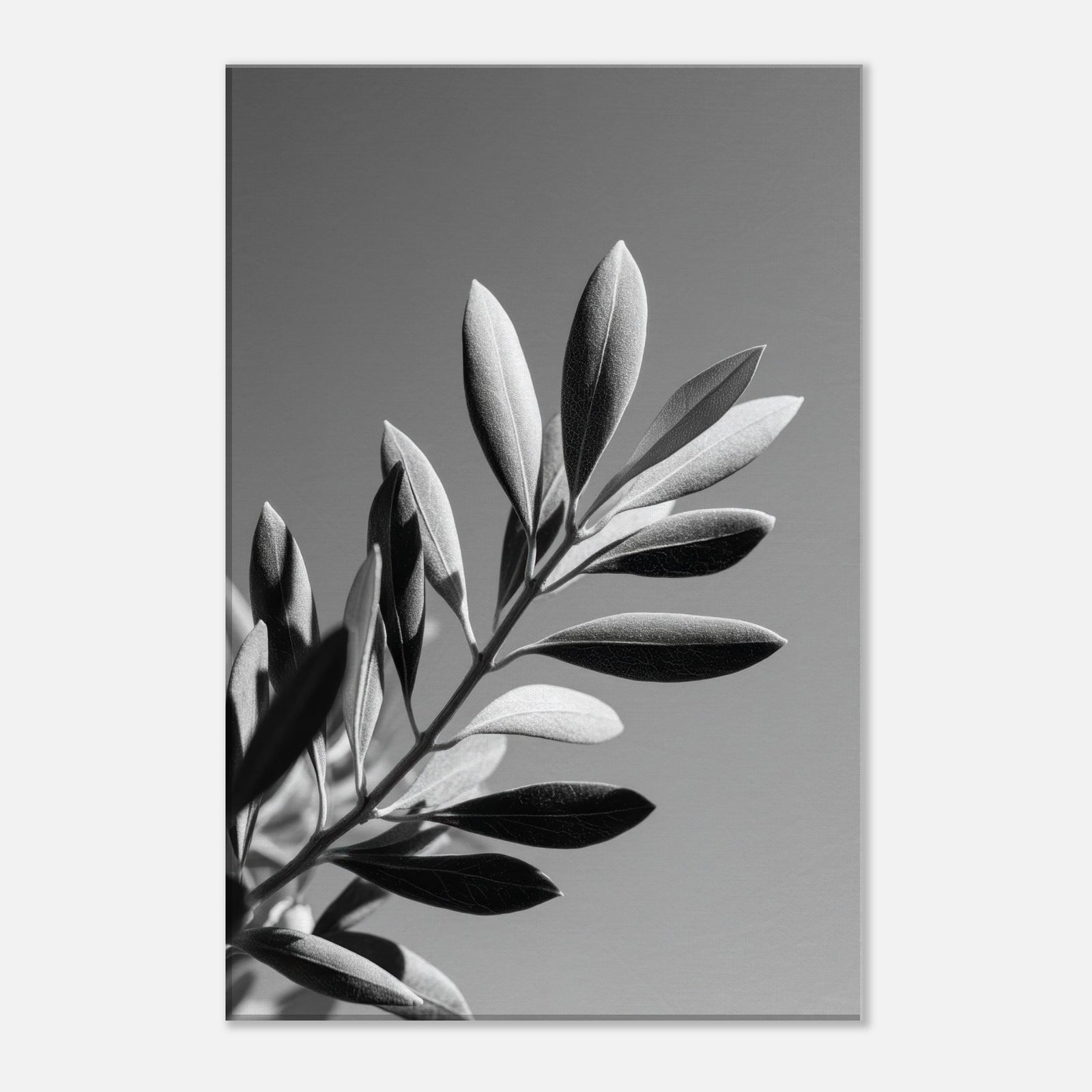 567ee5c6-a87e-415c-af93-04bdc98a3793