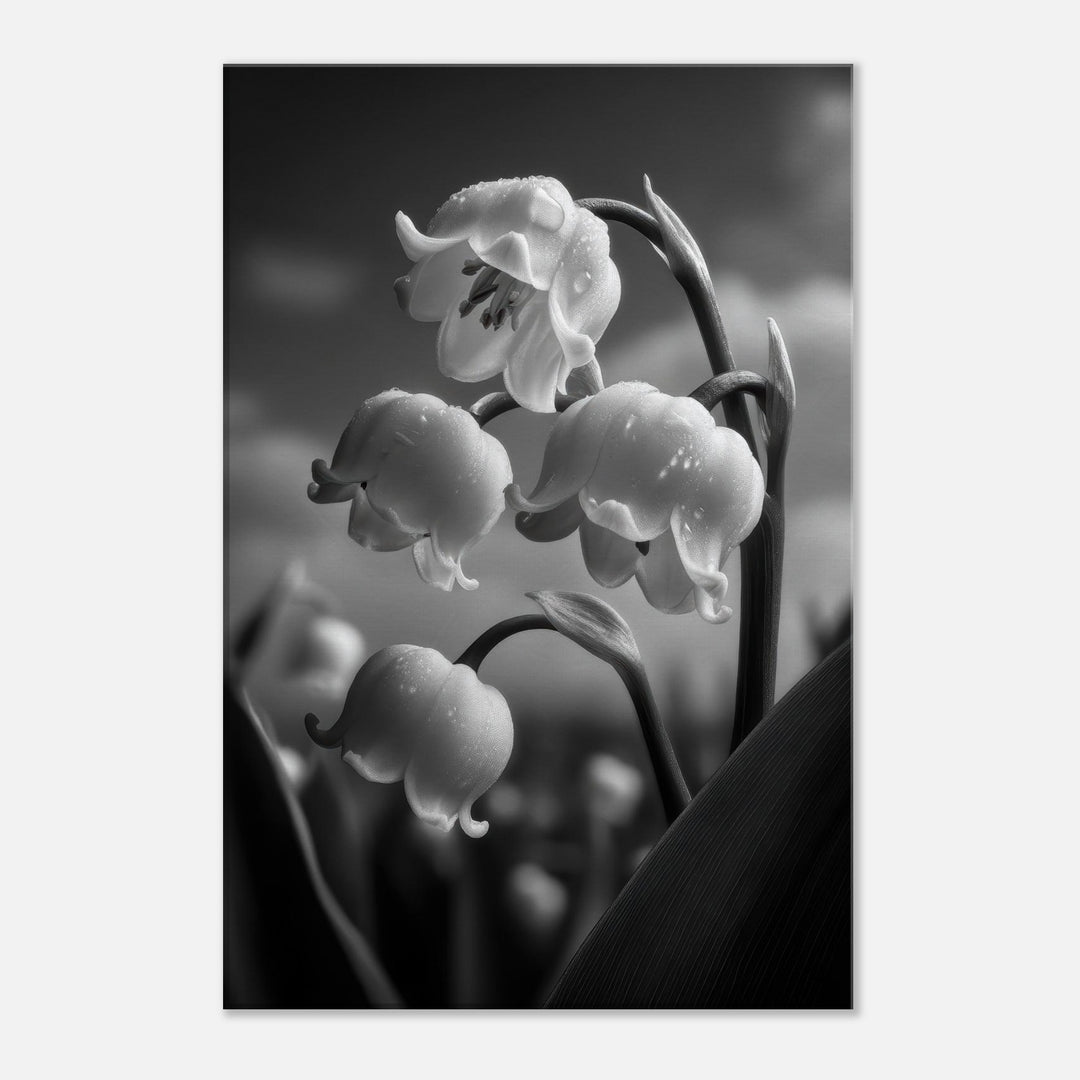 56b4a1d6-d479-462a-82c0-56e39b85c24d