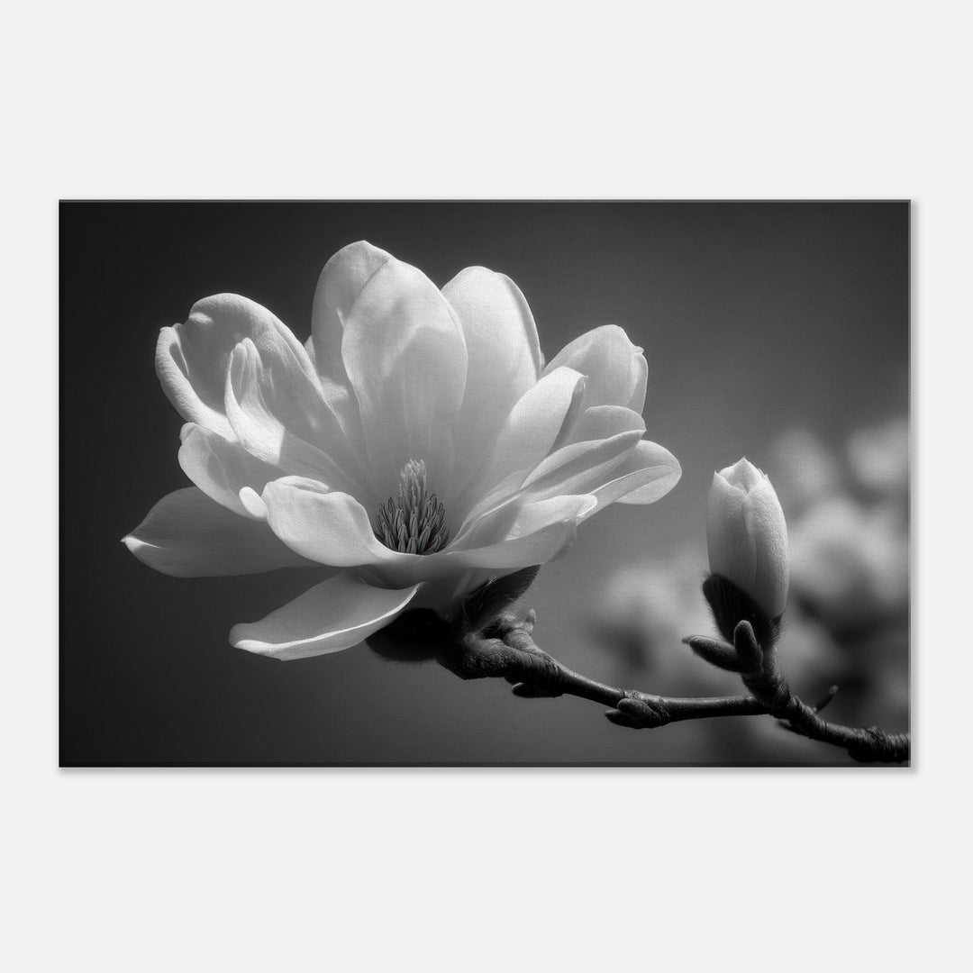 56b851fe-7908-45fc-9447-a319000b084f