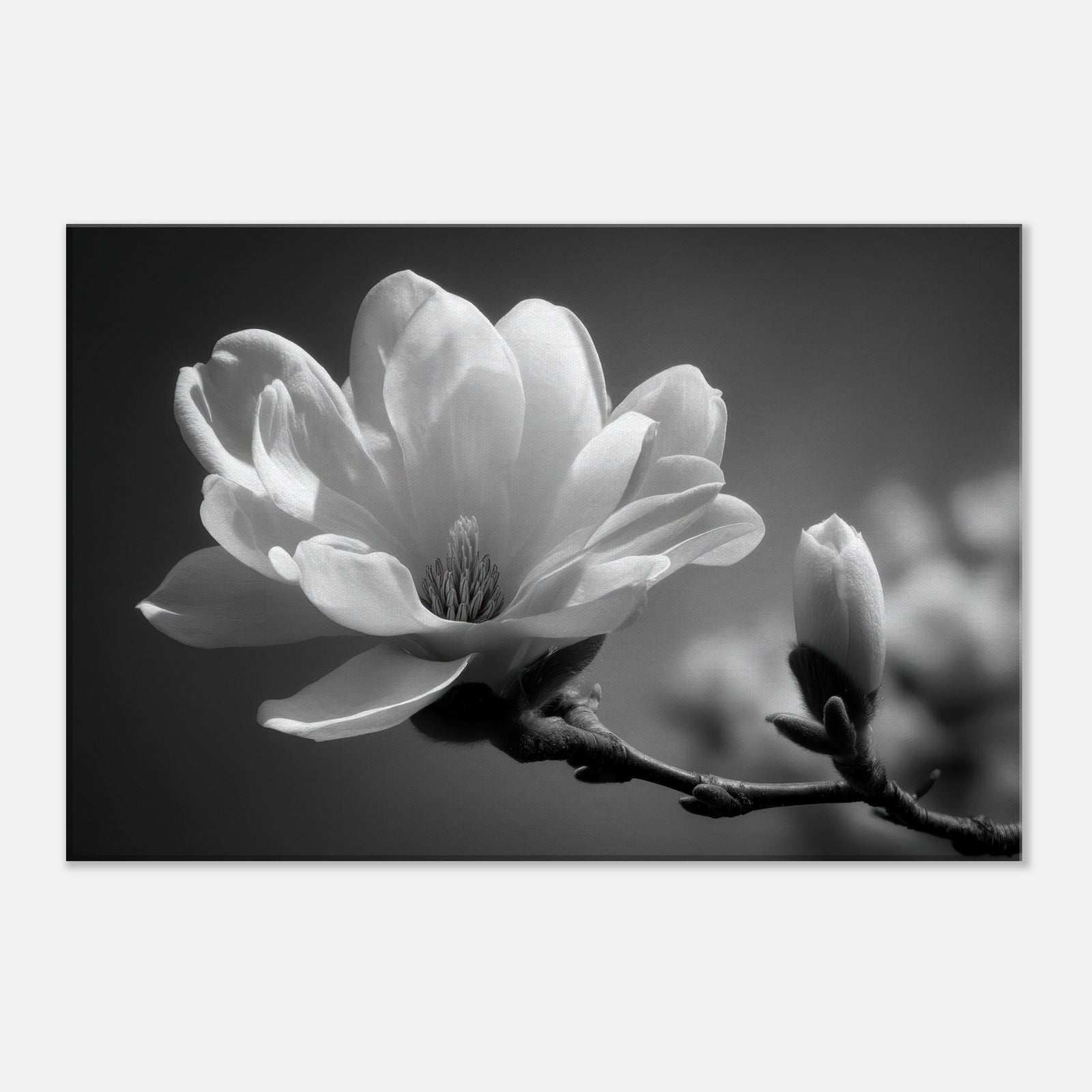 56b851fe-7908-45fc-9447-a319000b084f