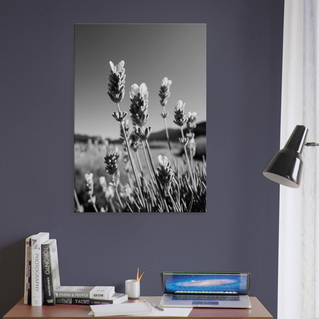 56b949c0-6c10-48e1-8b30-7ea96dbcde05