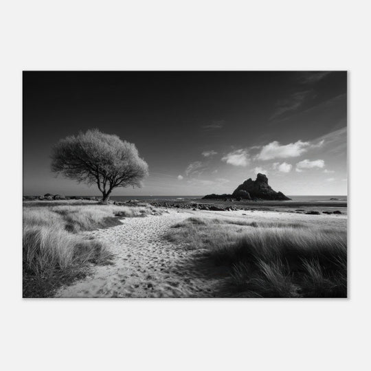 56ba339e-be12-408a-a28c-9443ef49312c